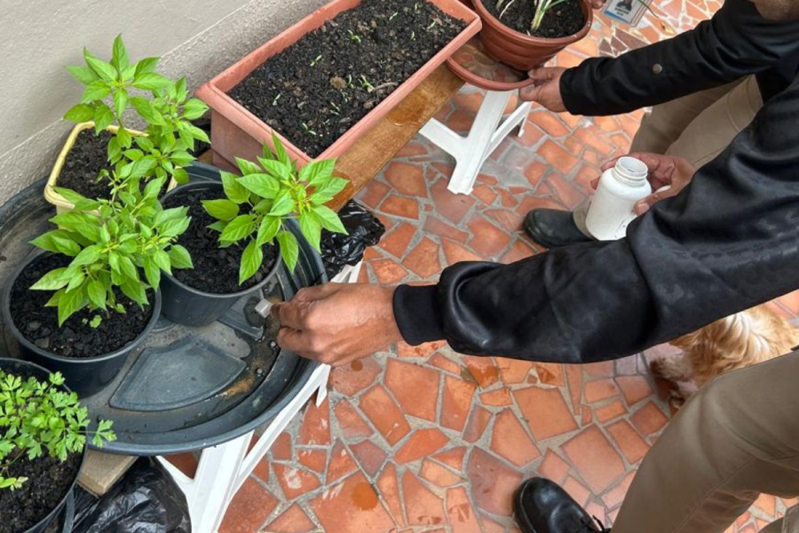 Prefeitura visita mais de 4 mil imóveis por mês no combate à dengue em Votorantim